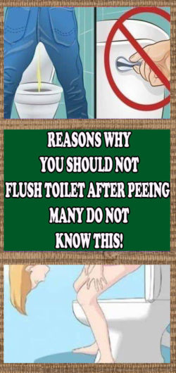 Reasons Why You Should Flush Toilet After Peeing May Do Not Know This